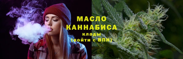 прущая мука Вяземский