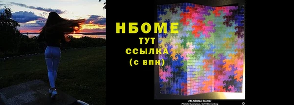 прущая мука Вяземский
